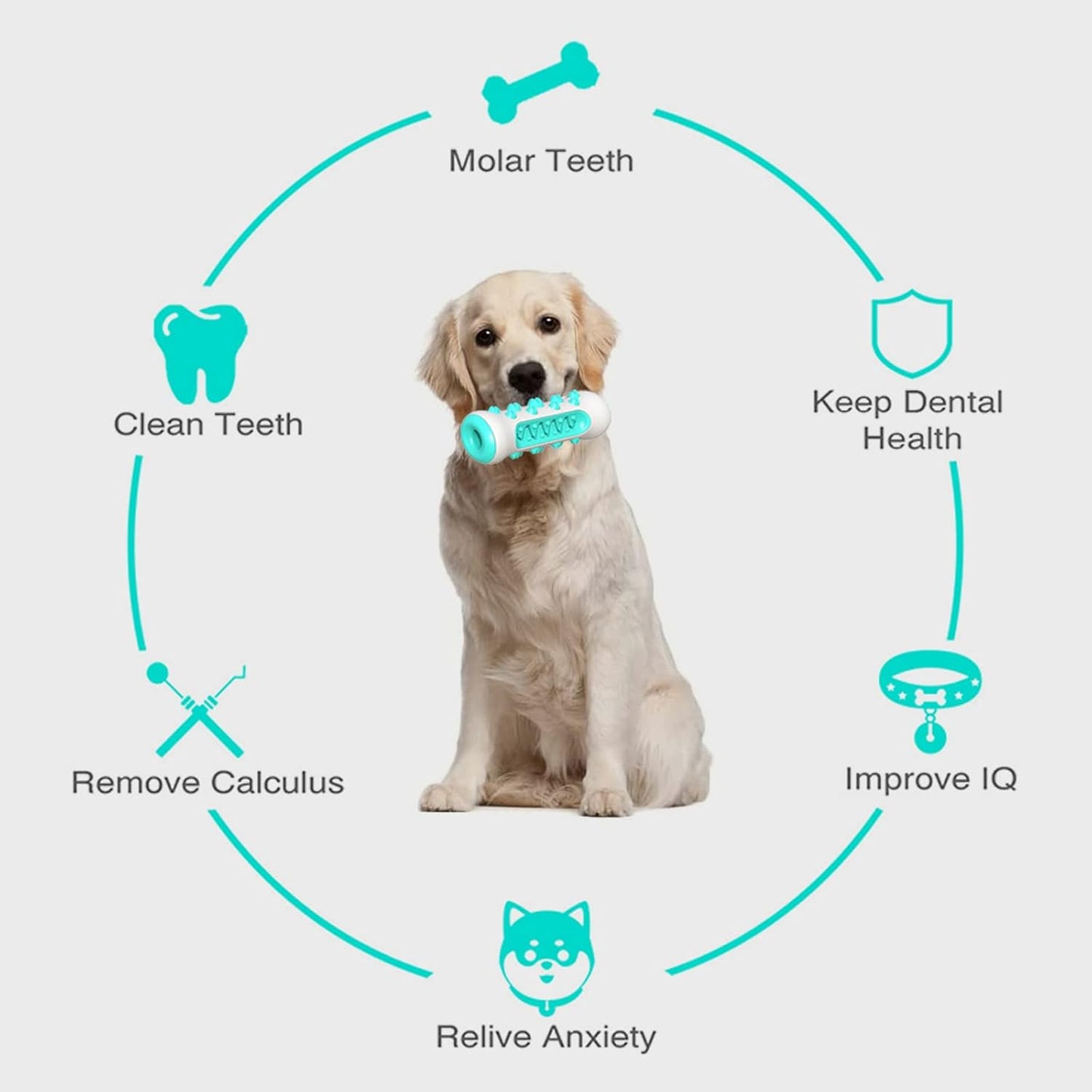 Dientoy Jueguete Limpiadientes para Perros - [PROMOCIÓN DISPONIBLE SOLO HOY]