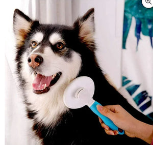 Cepillo  PetPro - [PROMOCIÓN DISPONIBLE SOLO HOY]