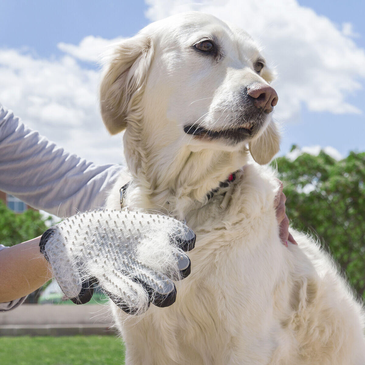 PeluditoCare Guante Cepillador y Masajeador para Mascotas - [PROMOCIÓN DISPONIBLE SOLO HOY]